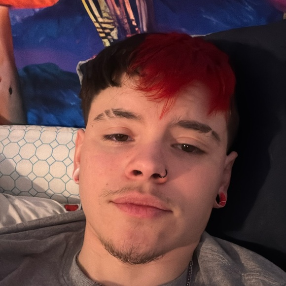 Meet your Posher, Carter - Picture 1 of 1